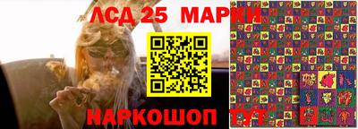 apvp Краснознаменск