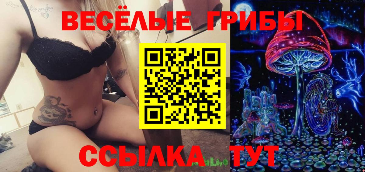 Касимов  Галлюциногенные грибы Psilocybe  Галлюциногенные грибы Magic Shrooms  Вход с VPN 